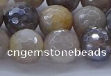 CMS1314 15.5 inches 12mm faceted round AB-color grey moonstone beads