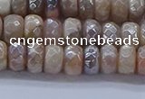 CMS1321 15.5 inches 4*6mm faceted rondelle AB-color moonstone beads