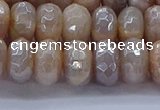 CMS1323 15.5 inches 6*10mm faceted rondelle AB-color moonstone beads