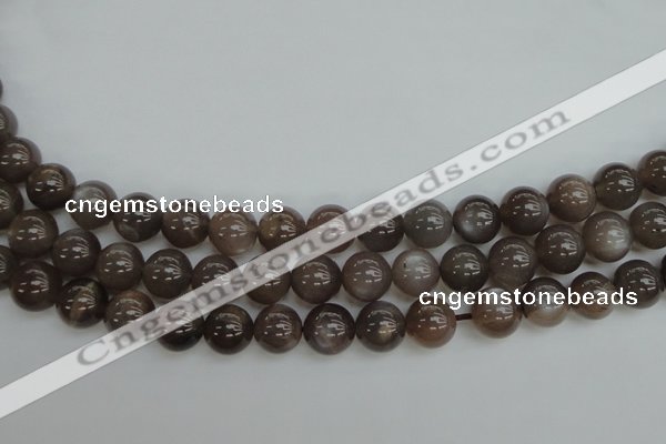 CMS142 15.5 inches 8mm round natural grey moonstone beads