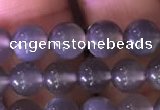 CMS1421 15.5 inches 6mm round black moonstone beads wholesale