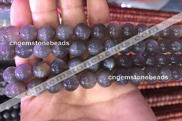 CMS1422 15.5 inches 8mm round black moonstone beads wholesale