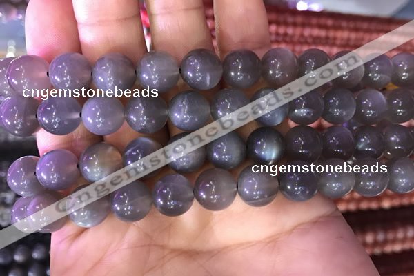 CMS1423 15.5 inches 10mm round black moonstone beads wholesale