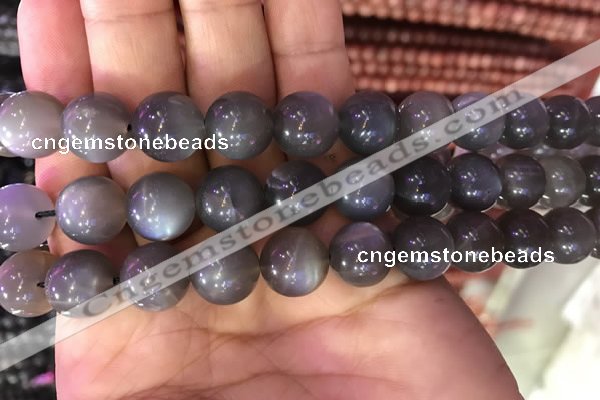 CMS1424 15.5 inches 12mm round black moonstone beads wholesale