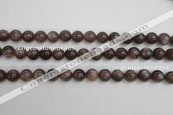 CMS143 15.5 inches 10mm round natural grey moonstone beads