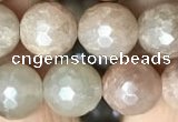 CMS1453 15.5 inches 10mm faceted round AB-color moonstone beads