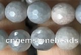 CMS1457 15.5 inches 8mm faceted round AB-color moonstone beads