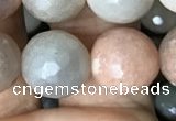 CMS1459 15.5 inches 12mm faceted round AB-color moonstone beads