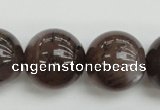 CMS147 15.5 inches 14mm round natural grey moonstone beads