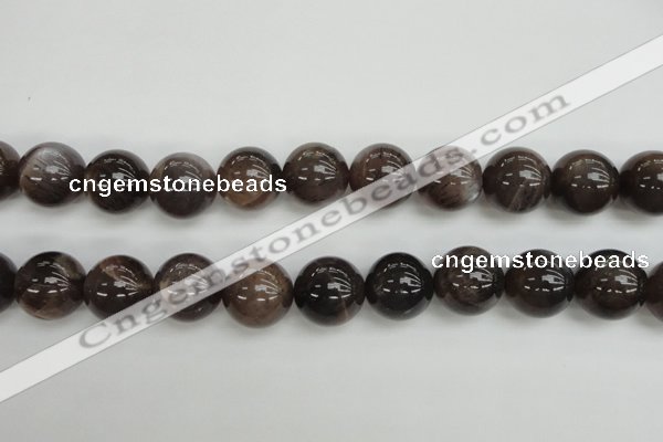 CMS147 15.5 inches 14mm round natural grey moonstone beads