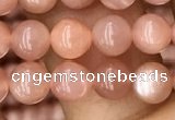 CMS1475 15.5 inches 6mm round moonstone beads wholesale