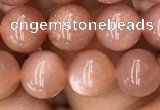 CMS1476 15.5 inches 8mm round moonstone beads wholesale