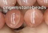 CMS1478 15.5 inches 12mm round moonstone beads wholesale