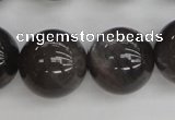 CMS148 15.5 inches 14mm round natural grey moonstone beads