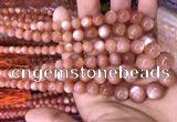 CMS1482 15.5 inches 4mm - 12mm round golden moonstone graduated beads