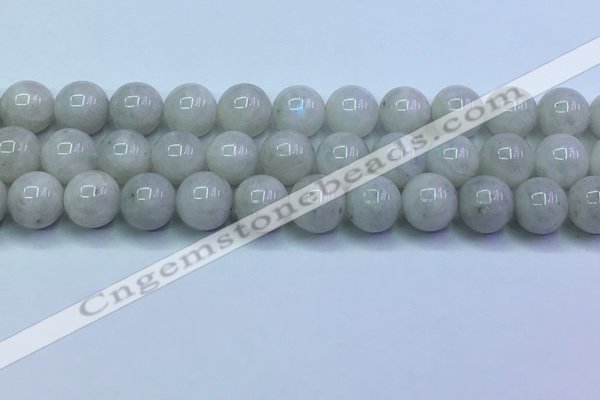 CMS1493 15.5 inches 12mm round white moonstone beads wholesale