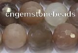 CMS1498 15.5 inches 10mmm faceted round rainbow moonstone beads