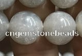 CMS1654 15.5 inches 12mm round grey moonstone beads wholesale