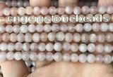 CMS1671 15.5 inches 6mm round moonstone beads wholesale