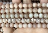 CMS1672 15.5 inches 8mm round moonstone beads wholesale