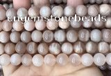 CMS1673 15.5 inches 10mm round moonstone beads wholesale