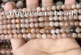 CMS1677 15.5 inches 4mm faceted round moonstone beads wholesale