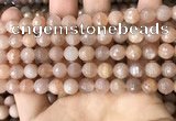 CMS1679 15.5 inches 8mm faceted round moonstone beads wholesale