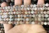 CMS1691 15.5 inches 4mm faceted round rainbow moonstone beads