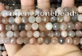 CMS1693 15.5 inches 8mm faceted round rainbow moonstone beads