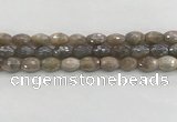 CMS1775 15.5 inches 8*12mm faceted rice AB-color moonstone beads