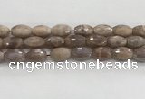 CMS1777 15.5 inches 11*18mm faceted rice AB-color moonstone beads