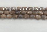 CMS1778 15.5 inches 13*18mm faceted drum AB-color moonstone beads