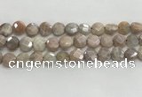 CMS1789 15.5 inches 10mm faceted coin AB-color moonstone beads