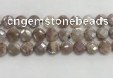 CMS1791 15.5 inches 14mm faceted coin AB-color moonstone beads