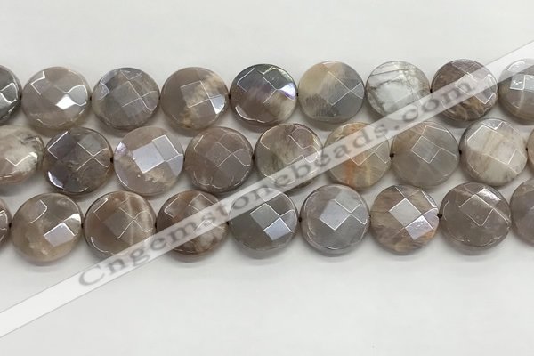 CMS1793 15.5 inches 18mm faceted coin AB-color moonstone beads