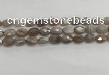 CMS1799 15.5 inches 10*14mm faceted oval AB-color moonstone beads