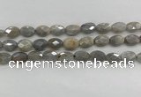 CMS1810 15.5 inches 8*12mm faceted oval AB-color moonstone beads