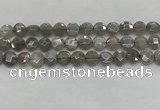 CMS1818 15.5 inches 10mm faceted coin AB-color moonstone beads