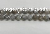 CMS1819 15.5 inches 14mm faceted coin AB-color moonstone beads