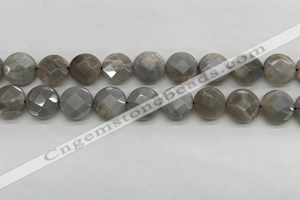 CMS1819 15.5 inches 14mm faceted coin AB-color moonstone beads