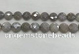 CMS1820 15.5 inches 16mm faceted coin AB-color moonstone beads