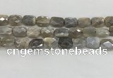 CMS1825 15.5 inches 12*16mm faceted rectangle AB-color moonstone beads