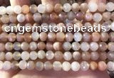 CMS1891 15.5 inches 6.5mm faceted round rainbow moonstone beads