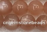 CMS1899 15.5 inches 12mm round moonstone gemstone beads