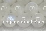 CMS1903 15.5 inches 10mm round white moonstone gemstone beads