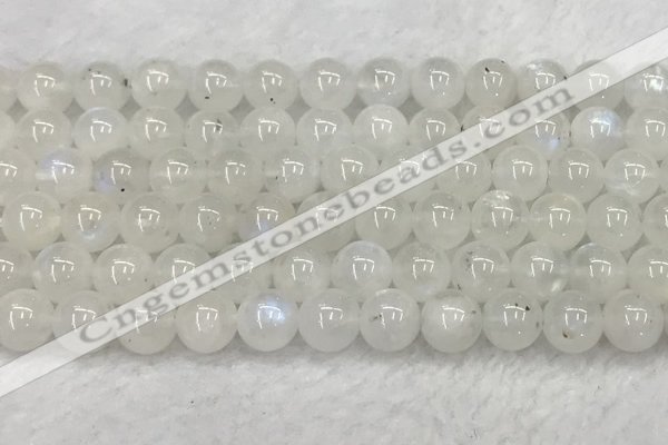 CMS1904 15.5 inches 12mm round white moonstone gemstone beads