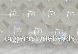 CMS1906 15.5 inches 6mm round white moonstone gemstone beads