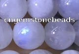 CMS1923 15.5 inches 10mm round white moonstone gemstone beads