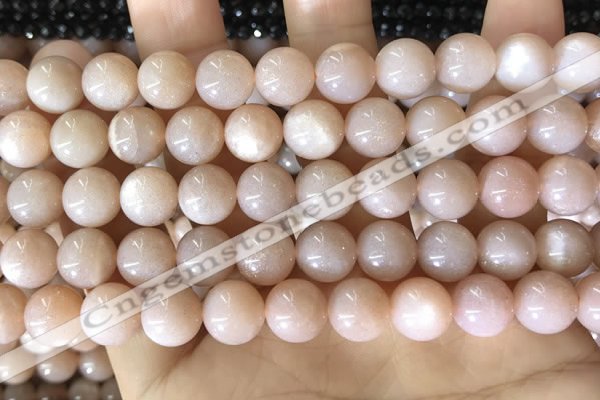 CMS1932 15.5 inches 10mm round moonstone beads wholesale