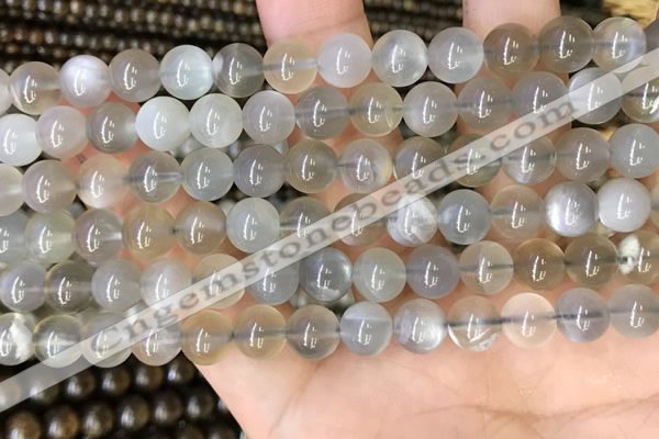 CMS1942 15.5 inches 8mm round grey moonstone beads wholesale